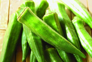 單個(gè)蔬菜圖片大全