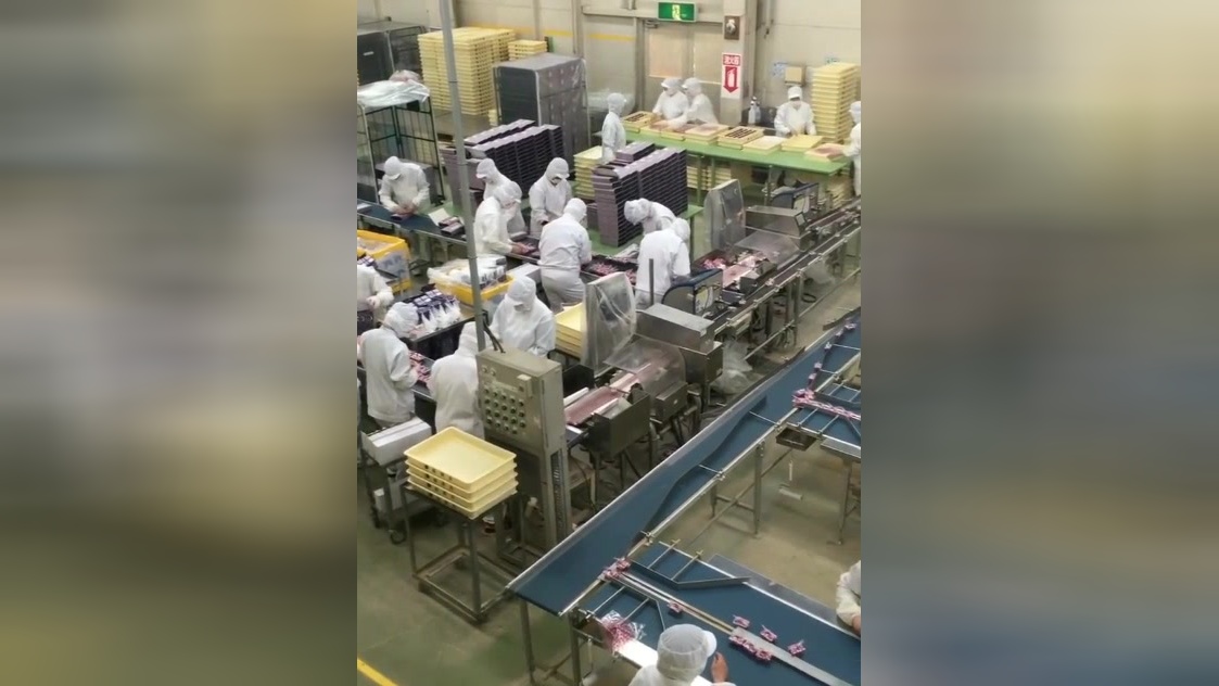 實(shí)拍日本食品工廠,超級(jí)干凈衛(wèi)生現(xiàn)代感足!日本產(chǎn)品就是用得放心