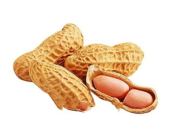 鎮(zhèn)賚特產(chǎn)綠色食品花生
