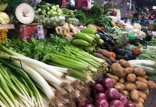 賣蔬菜送饅頭 結果年賺30萬