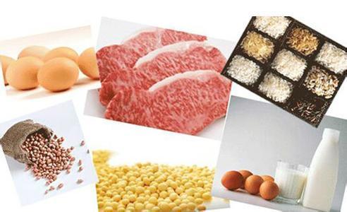 優(yōu)質(zhì)蛋白較多的食物有哪些