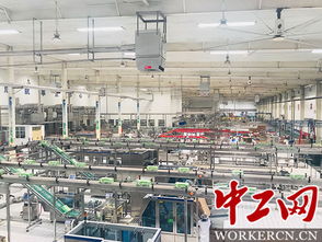 全透明 無盲區(qū) 高防控 食品安全觀察團走進伊利工廠