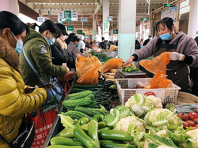 蔬菜加工工廠:一億投資背后的巨大盈利潛力